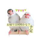 文鳥とは癒しスタンプ(日常会話ver)（個別スタンプ：6）