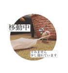 文鳥とは癒しスタンプ(日常会話ver)（個別スタンプ：13）