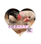 文鳥とは癒しスタンプ(日常会話ver)（個別スタンプ：15）