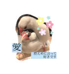 文鳥とは癒しスタンプ(日常会話ver)（個別スタンプ：16）