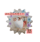 文鳥とは癒しスタンプ(日常会話ver)（個別スタンプ：25）