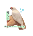 文鳥とは癒しスタンプ(日常会話ver)（個別スタンプ：27）