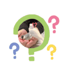 文鳥とは癒しスタンプ(日常会話ver)（個別スタンプ：30）