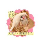 文鳥とは癒しスタンプ(日常会話ver)（個別スタンプ：32）