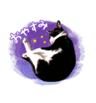 猫のふうちゃんスタンプ（個別スタンプ：4）