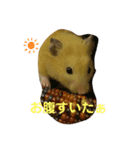 だいすきピー乃助one（個別スタンプ：2）