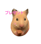 だいすきピー乃助one（個別スタンプ：3）