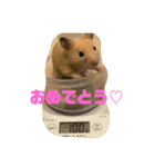 だいすきピー乃助one（個別スタンプ：4）