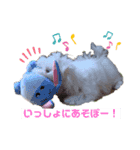おみつ家の琥珀くん①（個別スタンプ：4）