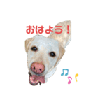 りんるな（個別スタンプ：3）