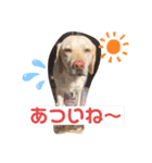 りんるな（個別スタンプ：4）