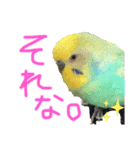 いんこのめるさん1（個別スタンプ：3）