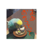 いんこのめるさん1（個別スタンプ：8）