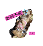 ベル×チョコ（個別スタンプ：1）