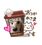 ベル×チョコ（個別スタンプ：2）