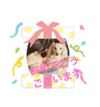 ベル×チョコ（個別スタンプ：8）
