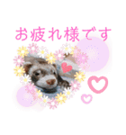 フェレット ふぅ太の日常（個別スタンプ：6）