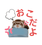 フェレット ふぅ太の日常（個別スタンプ：17）