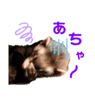 フェレット ふぅ太の日常（個別スタンプ：18）
