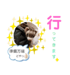 フェレット ふぅ太の日常（個別スタンプ：22）