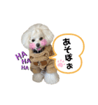 おぼろとその仲間たちの日常（個別スタンプ：8）