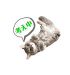 もずくの気持ち♡（個別スタンプ：13）