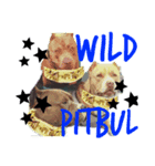 wild Pitbul 1（個別スタンプ：2）