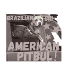 wild Pitbul 1（個別スタンプ：8）