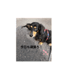 QOOちゃん210（個別スタンプ：23）