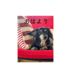 QOOちゃん210（個別スタンプ：24）