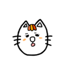 表情豊かなニャンコちゃん♪（個別スタンプ：34）