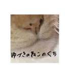 ゆづきのねこ（個別スタンプ：12）