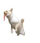 ゆづきのねこ（個別スタンプ：21）