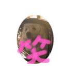 適当なことば（個別スタンプ：3）