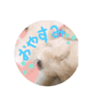 適当なことば（個別スタンプ：5）