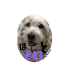 適当なことば（個別スタンプ：10）