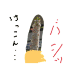 お花で遊ぼう6（個別スタンプ：8）