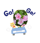 お花で遊ぼう6（個別スタンプ：10）