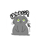 地球ネコ（個別スタンプ：1）