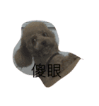 美美超可愛（個別スタンプ：3）