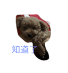 美美超可愛（個別スタンプ：6）