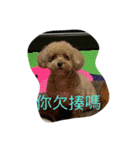 美美超可愛（個別スタンプ：7）