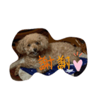 美美超可愛（個別スタンプ：9）