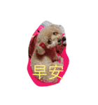 美美超可愛（個別スタンプ：10）