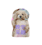 美美超可愛（個別スタンプ：11）