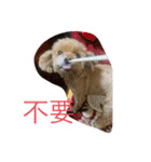 美美超可愛（個別スタンプ：12）