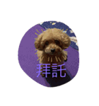 美美超可愛（個別スタンプ：14）