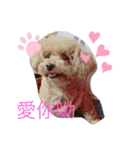 美美超可愛（個別スタンプ：16）