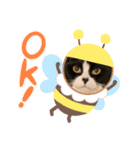 白黒 金ちゃん（個別スタンプ：5）