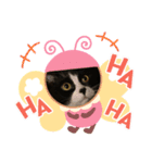 白黒 金ちゃん（個別スタンプ：6）